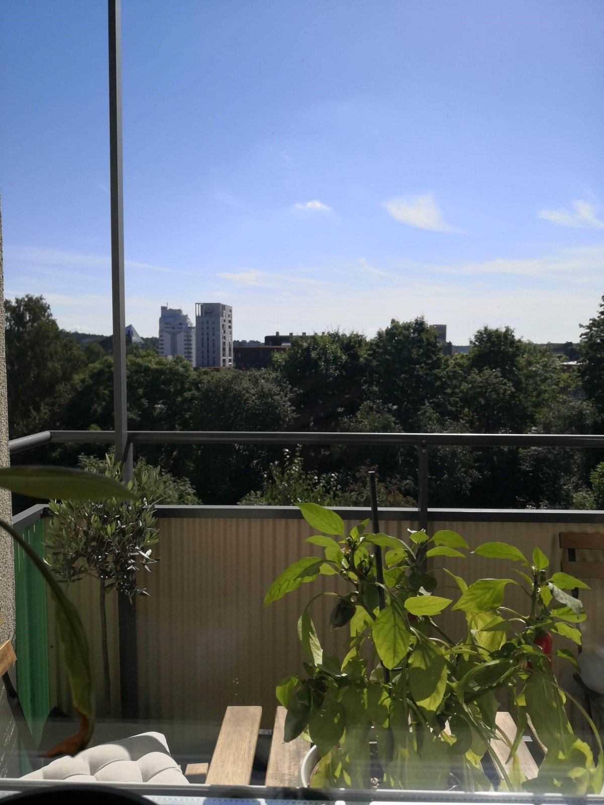 Hagvägen