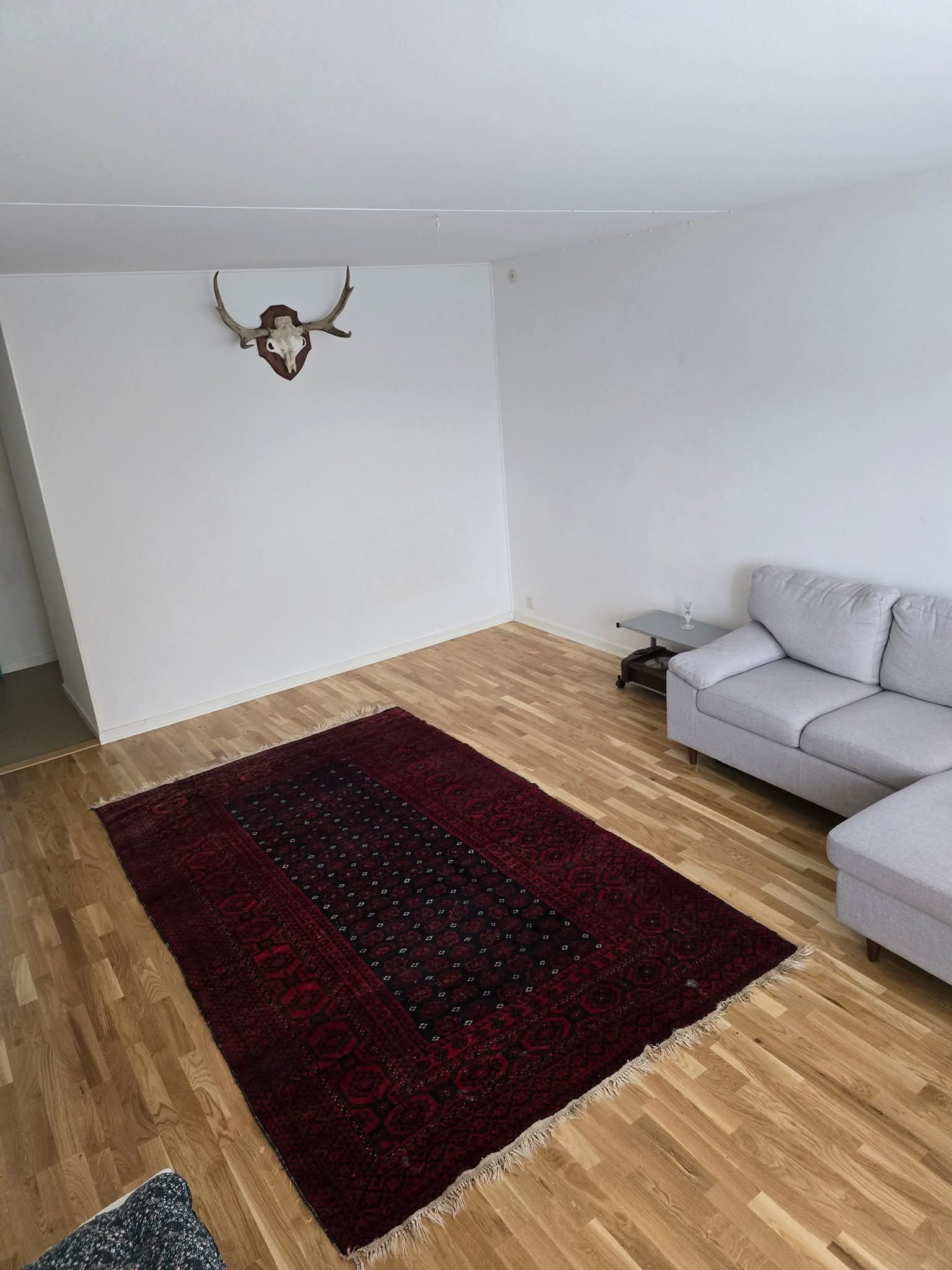 Fjällveronikan, Angered — photo 4