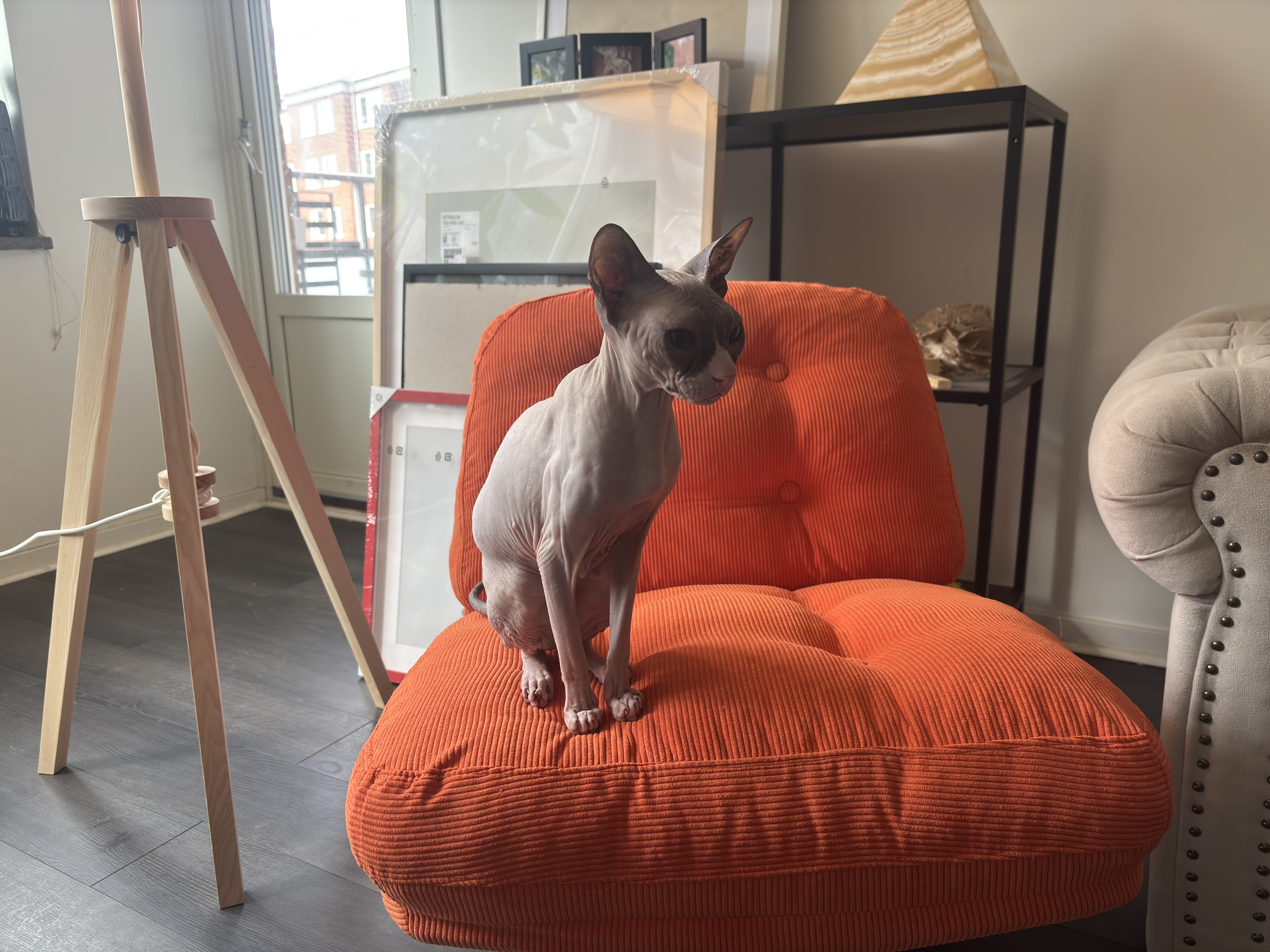 Överstegatan, Göteborg — photo 2