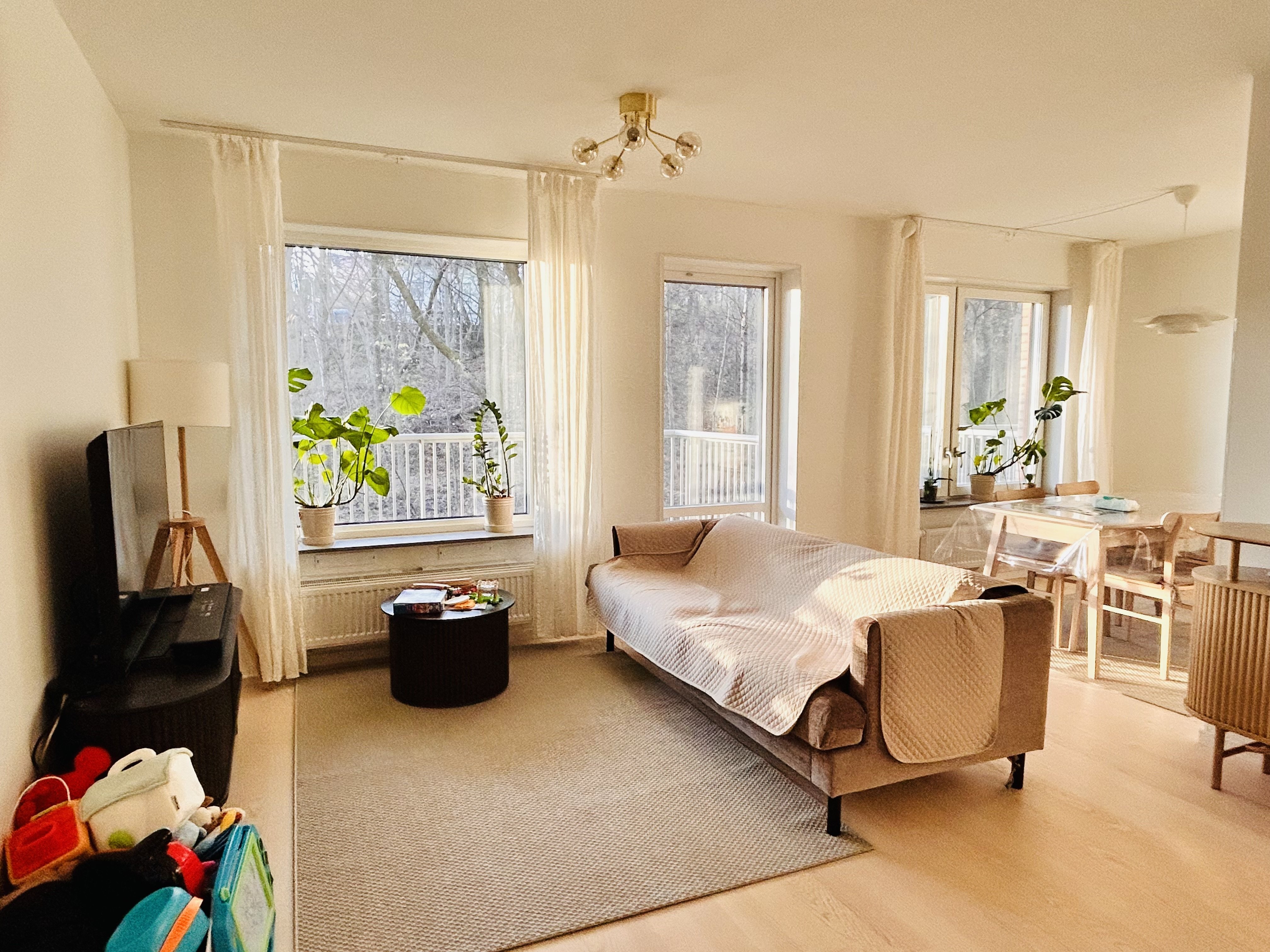 Ebbe Lieberathsgatan, Göteborg — photo 2