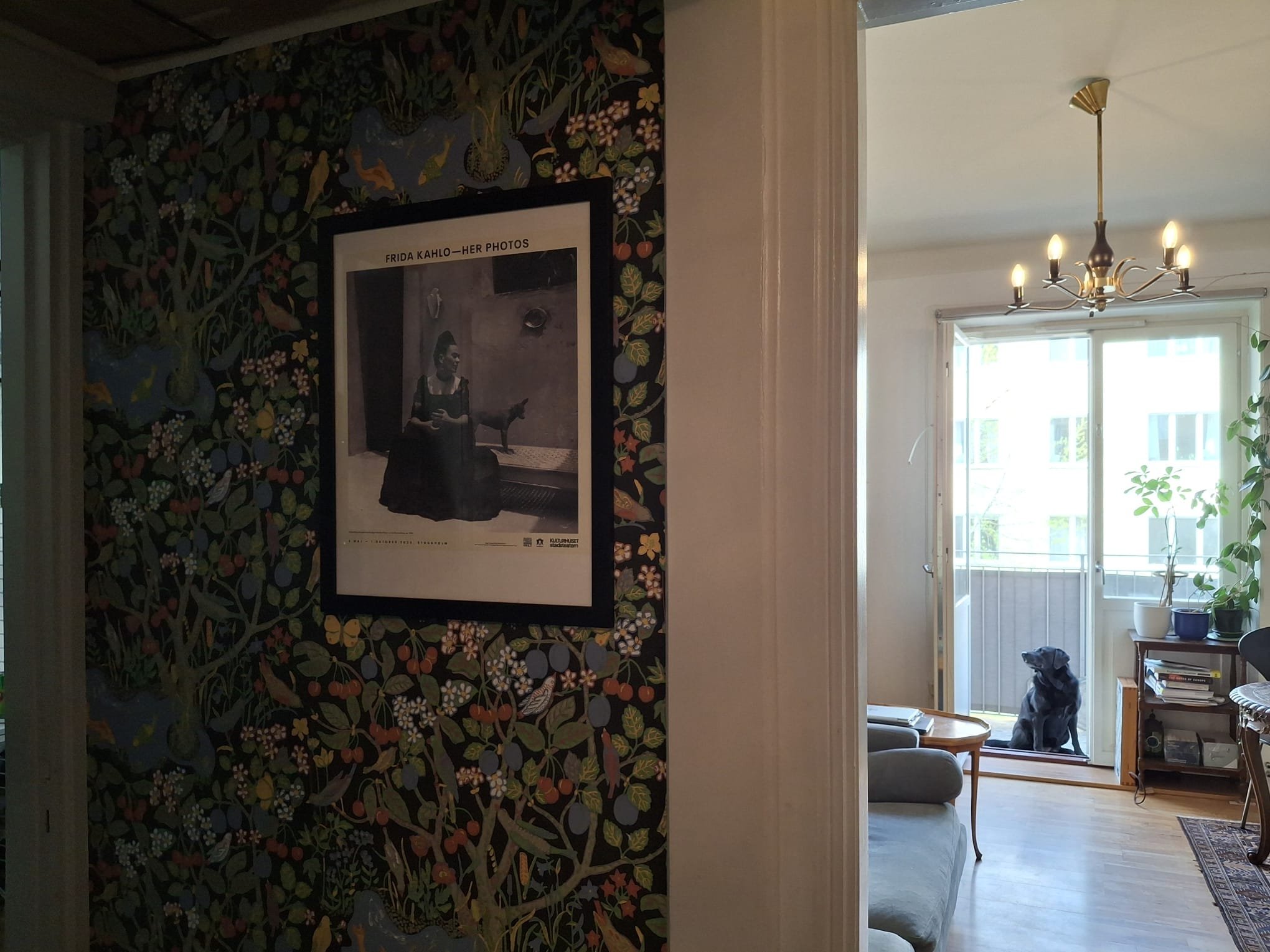 Ola Hanssonsgatan, Stockholm — photo 2