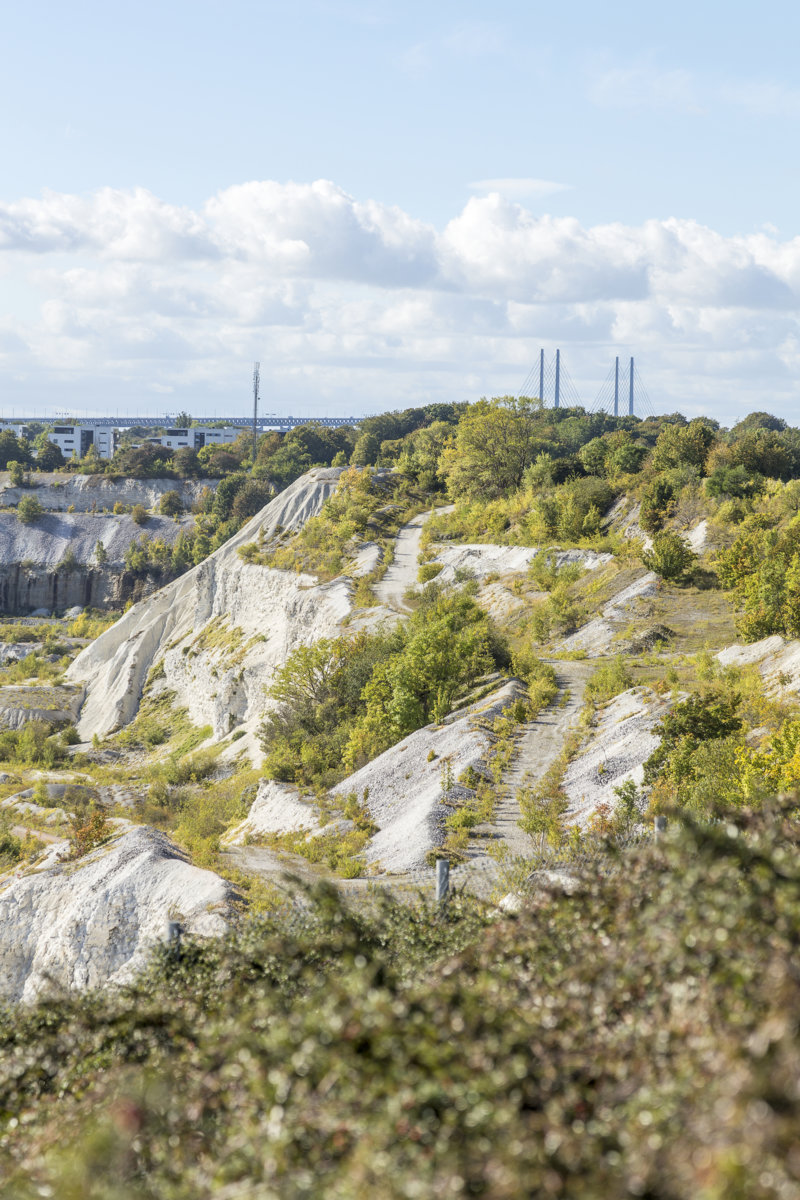 Högatan 14, Limhamn — photo 4