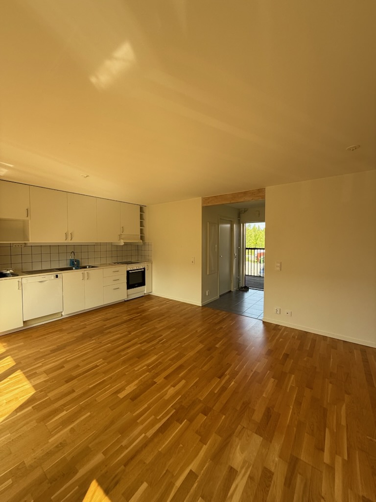 Hans villius gata 12C