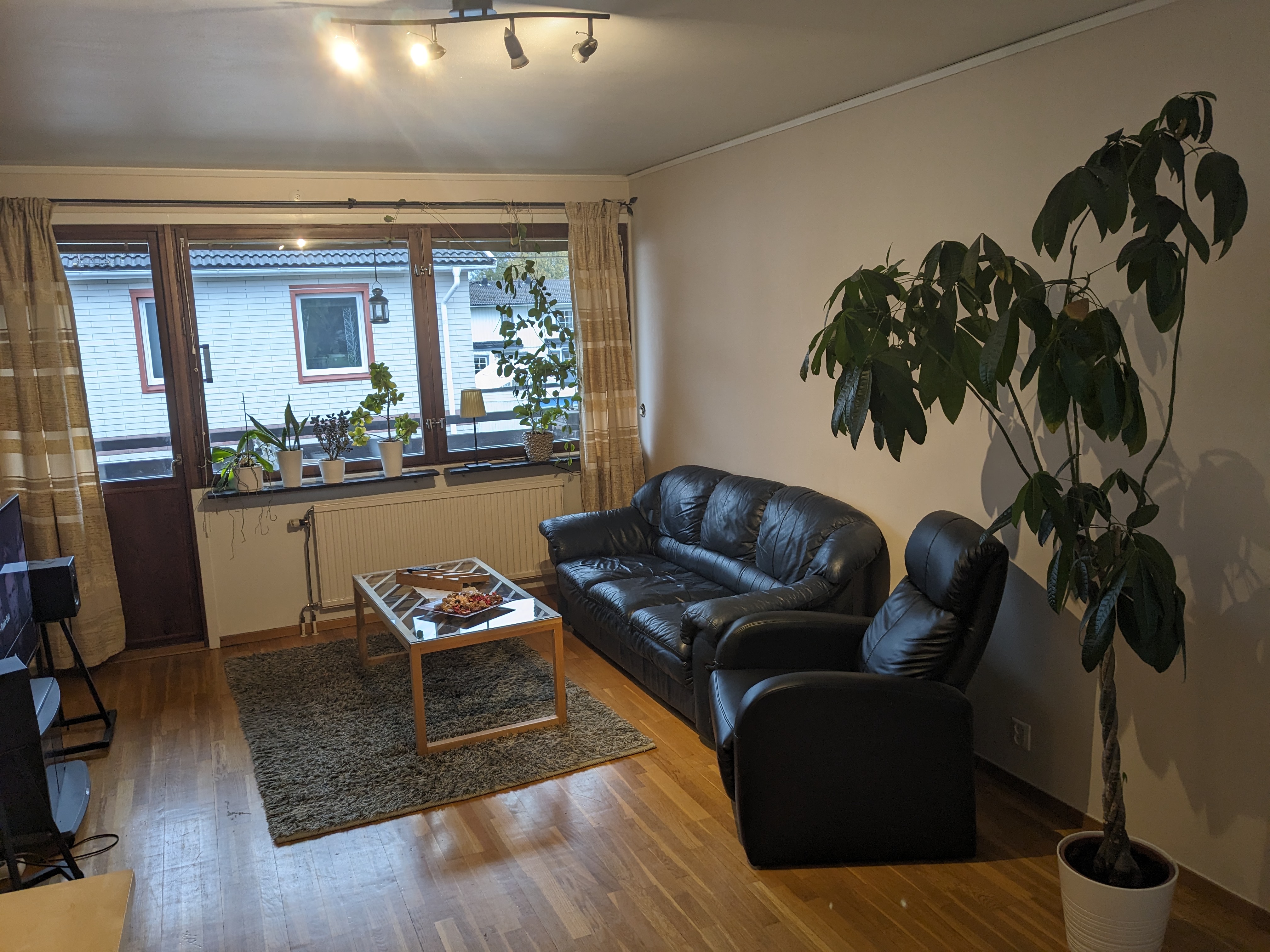 Södra Gimonäsvägen, Umeå — photo 2
