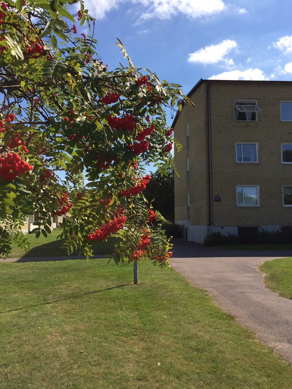 2 rooms · 66 m² in Kalmar