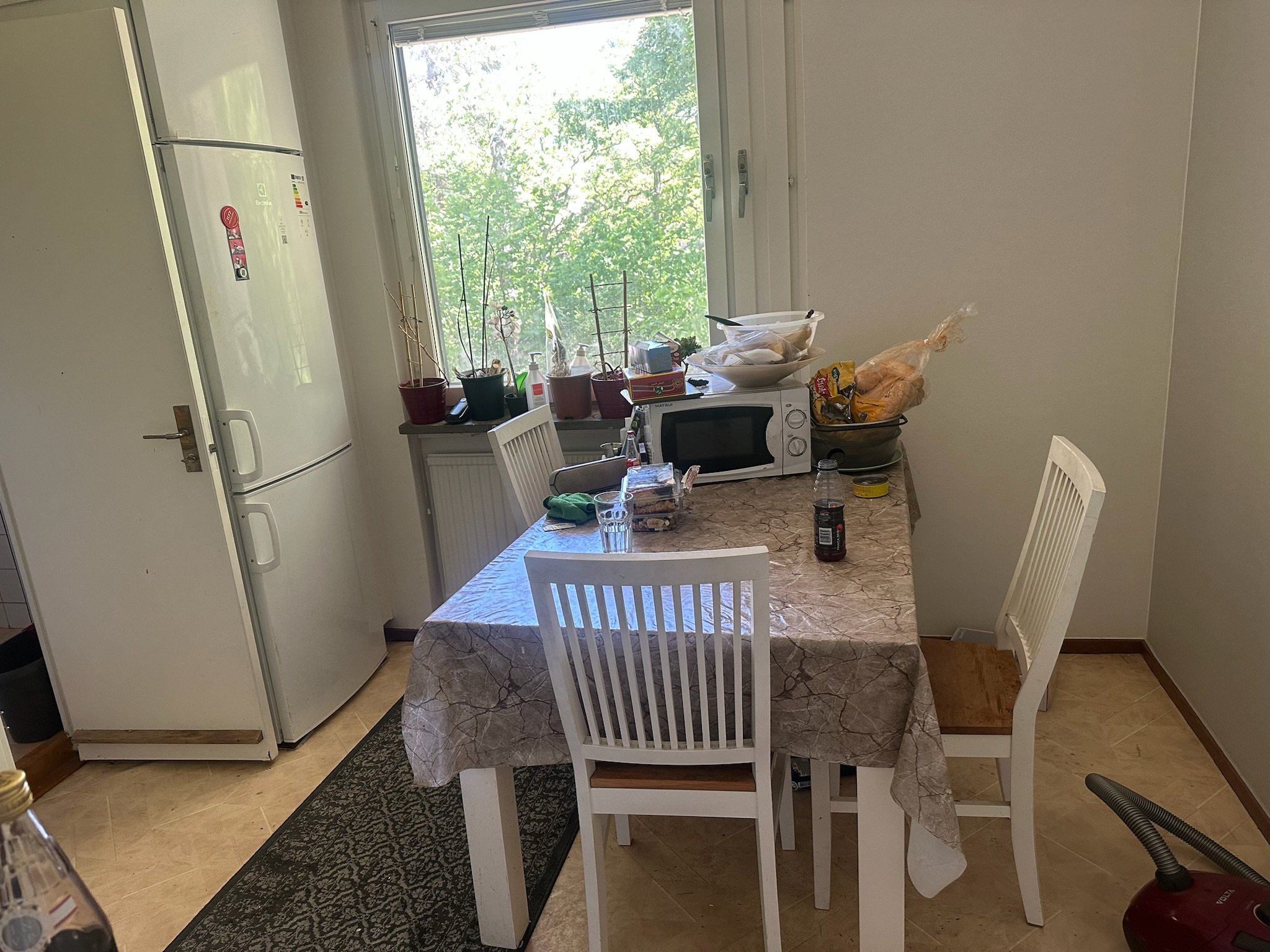 Ejdervägen