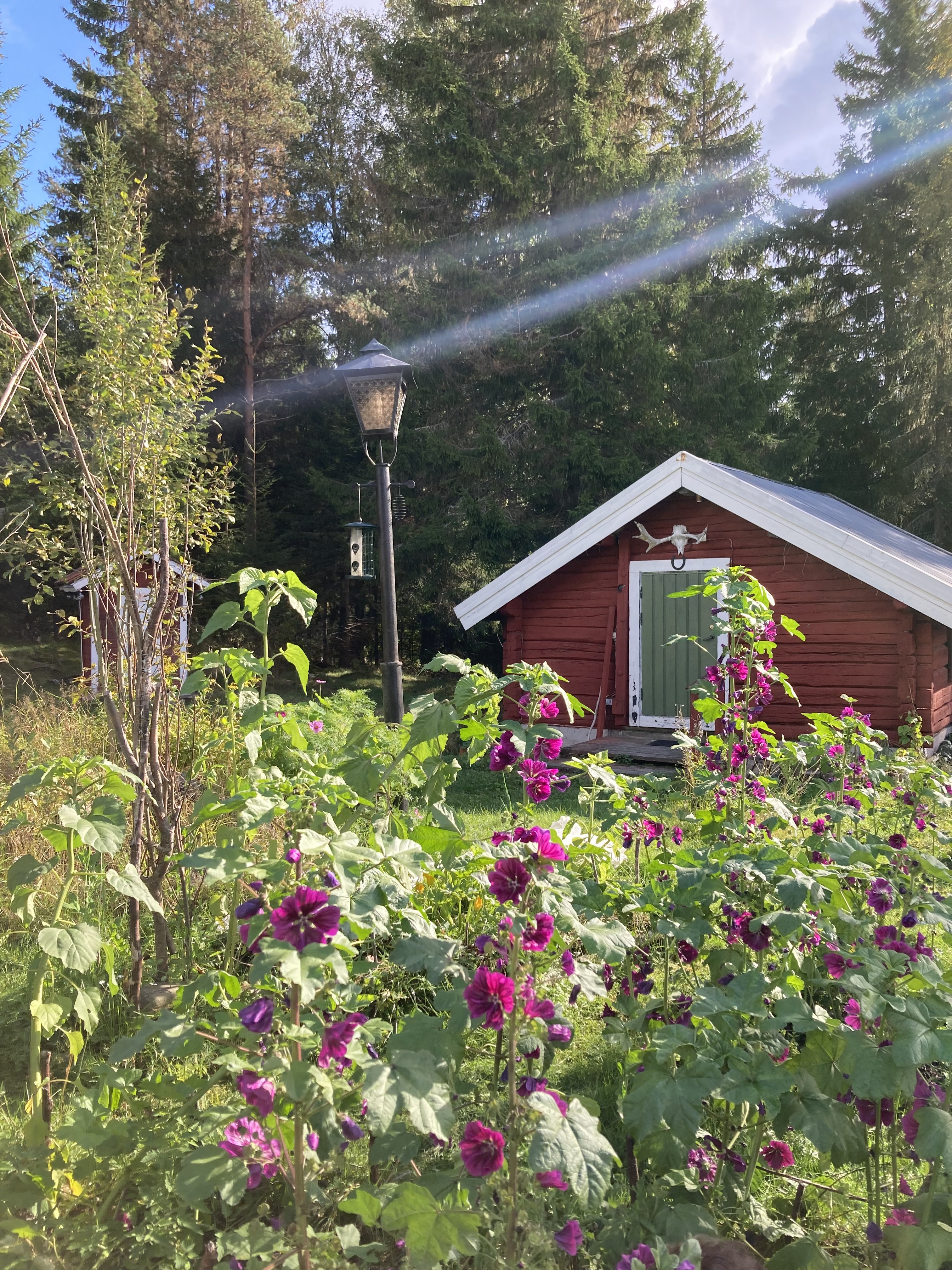 3 rok · 70 m² i Svärdsjö – bild 6