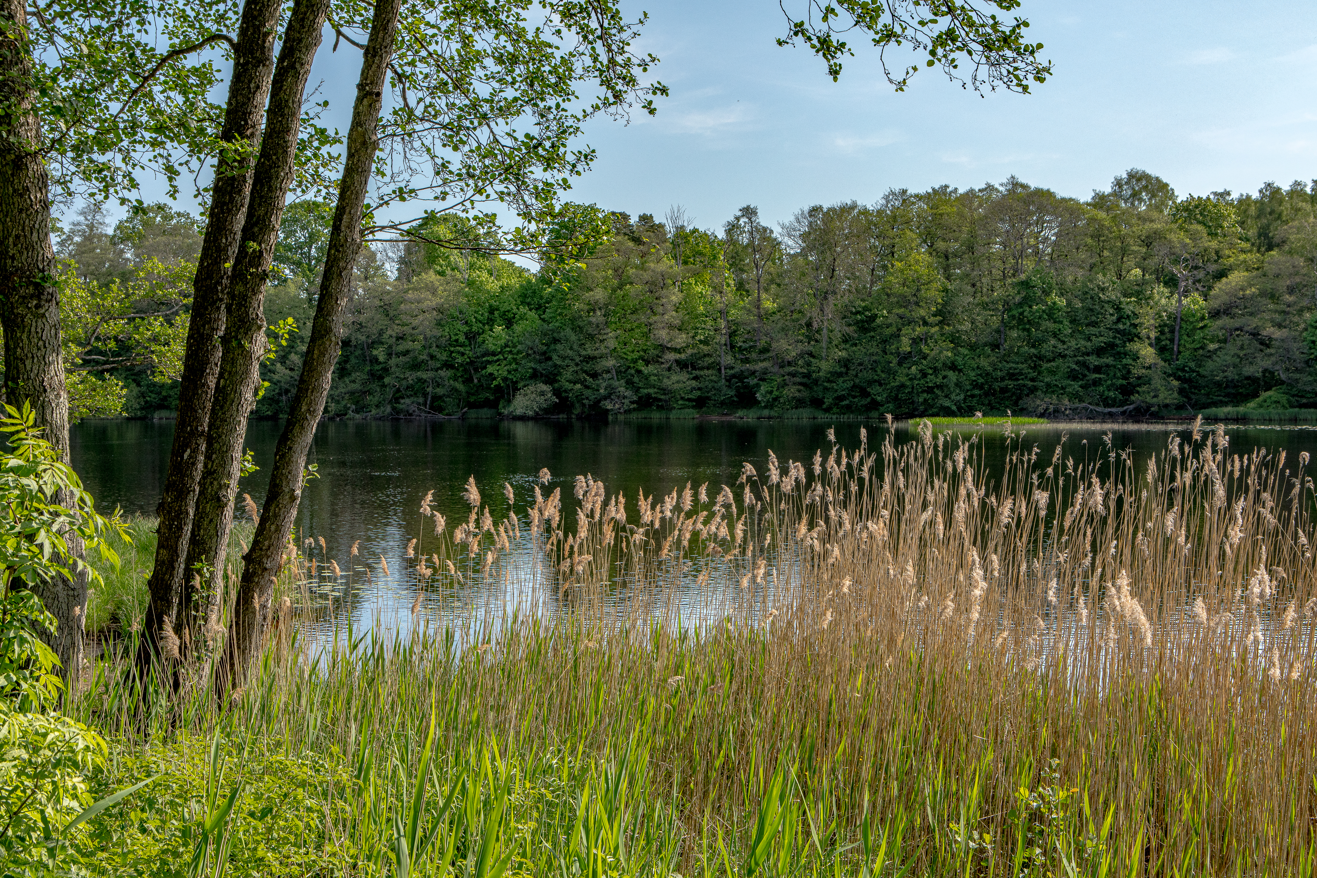 Hyreslägenhet på Halmstad i halmstad