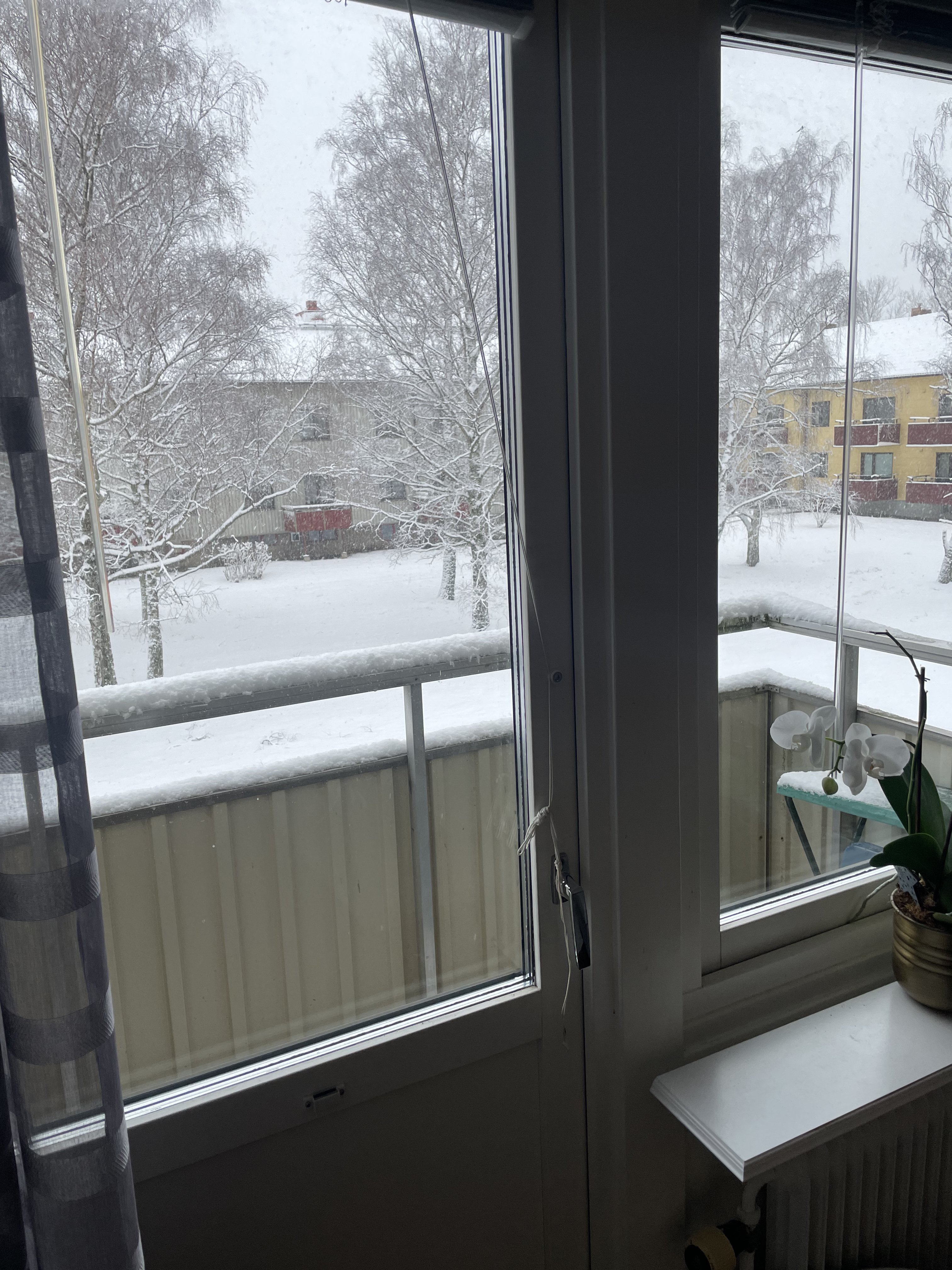 Majvivsgatan, Göteborg