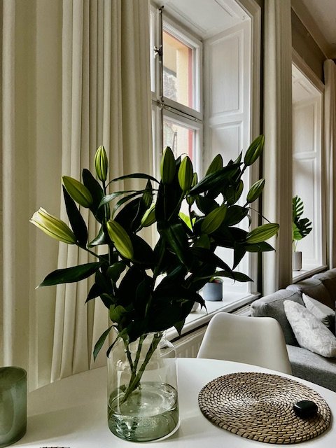 Frejgatan, Stockholm