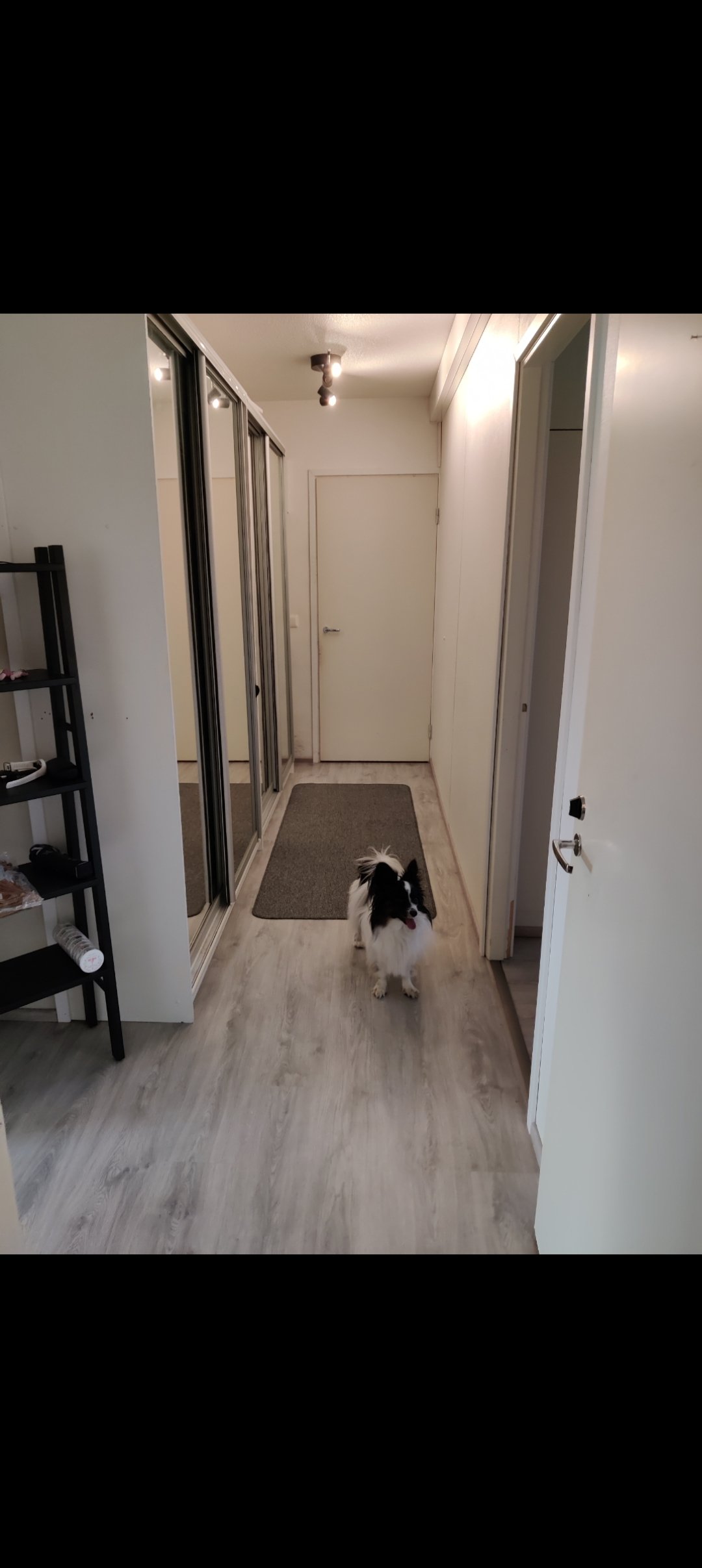 Ensimmäisen kerroksen tilava kaksio lasitetulla parvekkeella 4