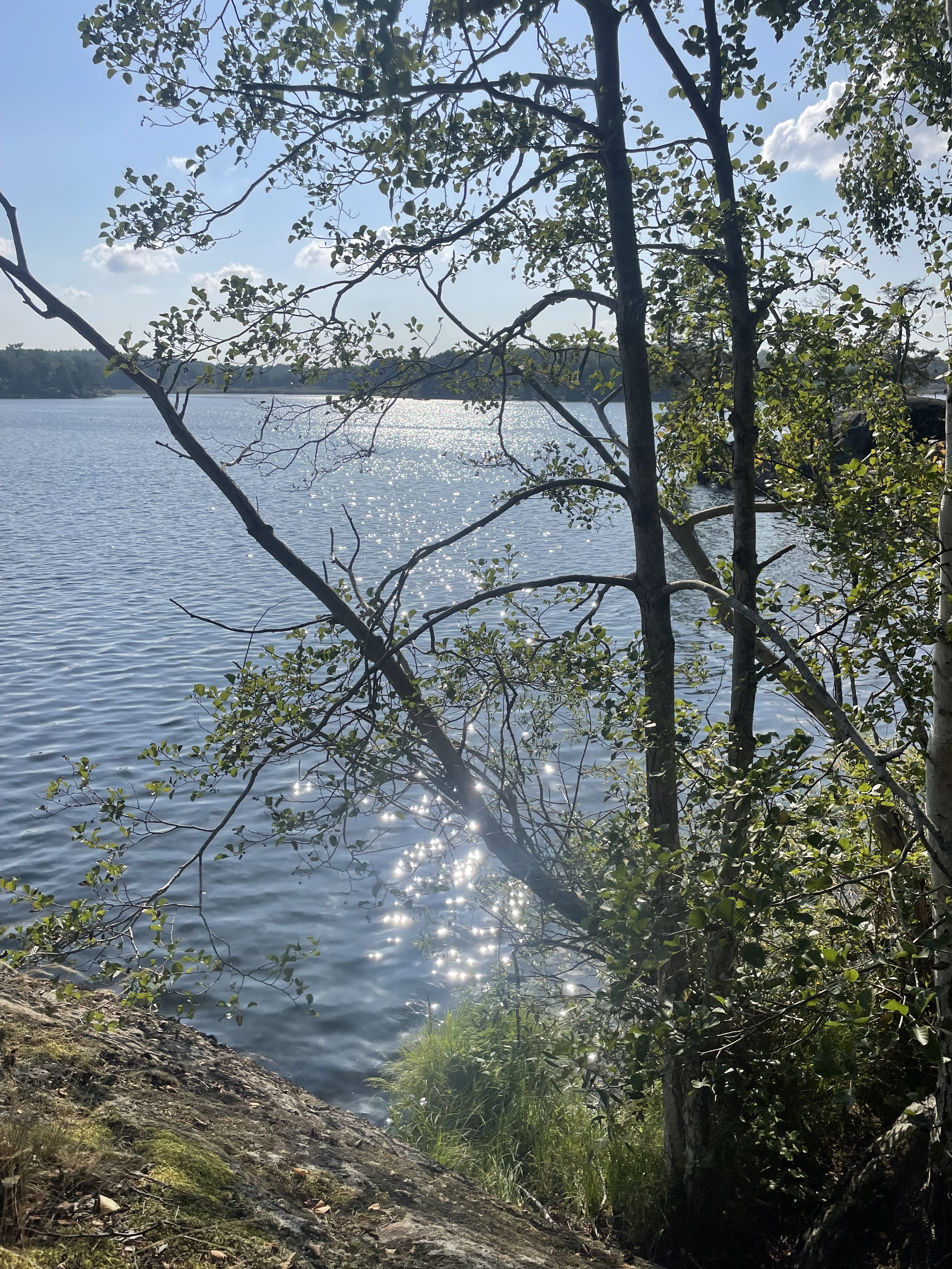 2 rum och kök, Farsta — 9 000 kr/mån — bild 4